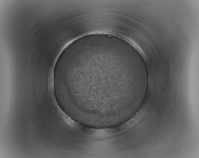 X0000116030988200911271132