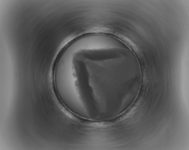 X0000116030990200911271132