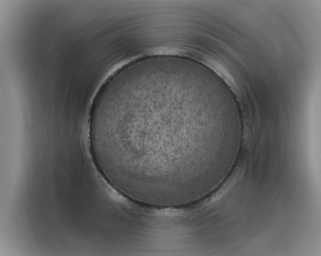 X0000116030992200911271132