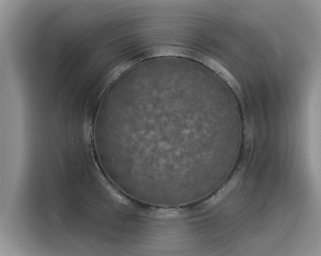 X0000116030993200911271132