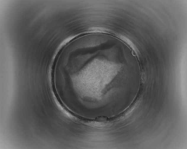 X0000116030995200911271132
