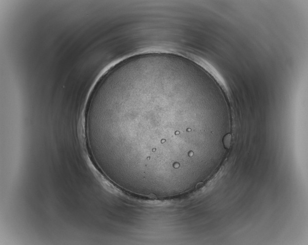 X0000116030996200911271132