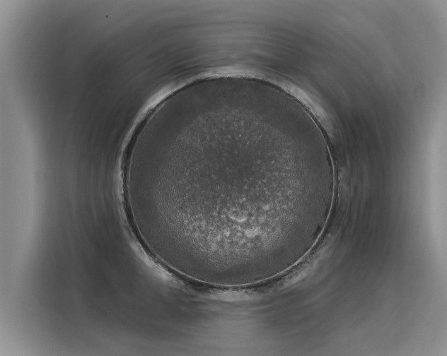 X0000116030998200911271132