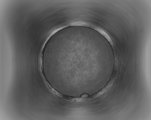 X0000116031000200911271132