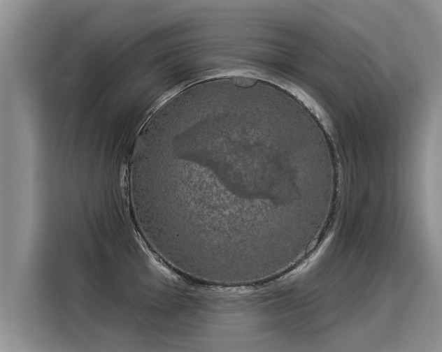 X0000116031001200911271132