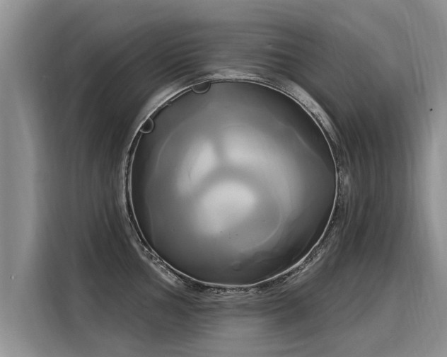 X0000116031002200911271132