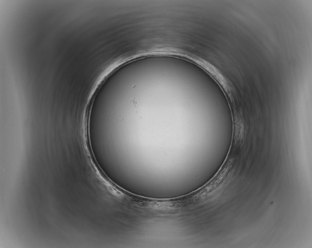 X0000116031006200911271132