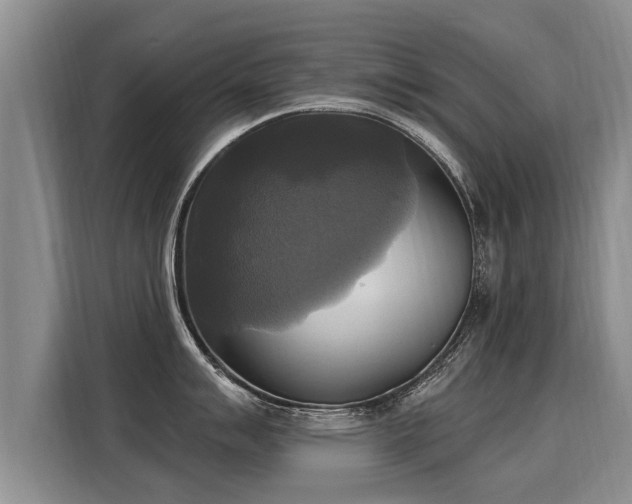 X0000116031007200911271132