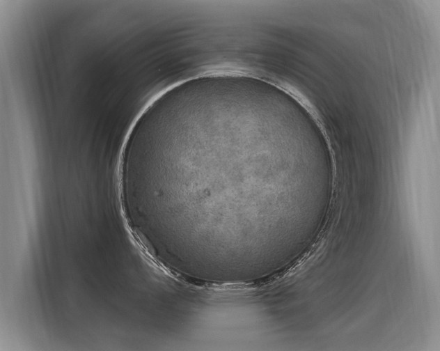 X0000116031008200911271132