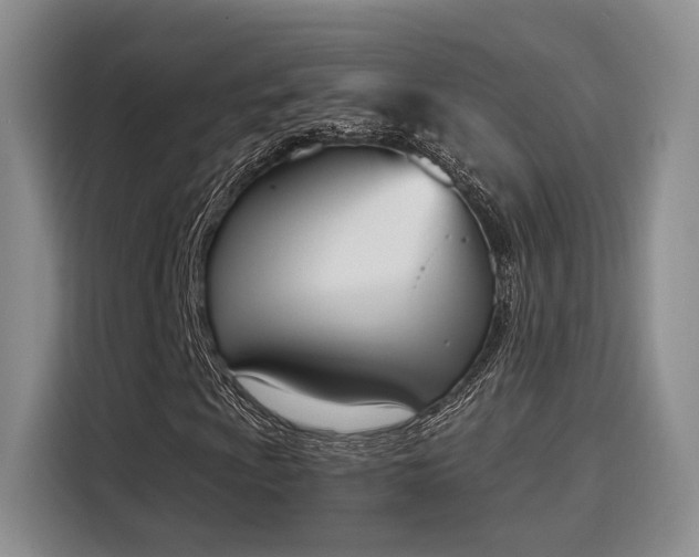 X0000116031009200911271131