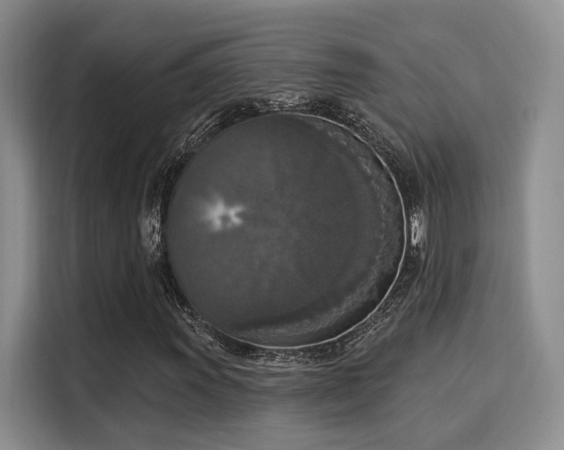 X0000116031011200911271131