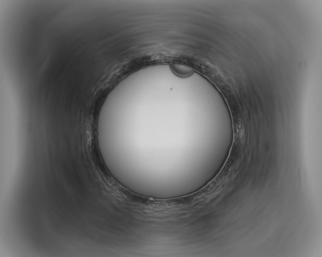 X0000116031012200911271131