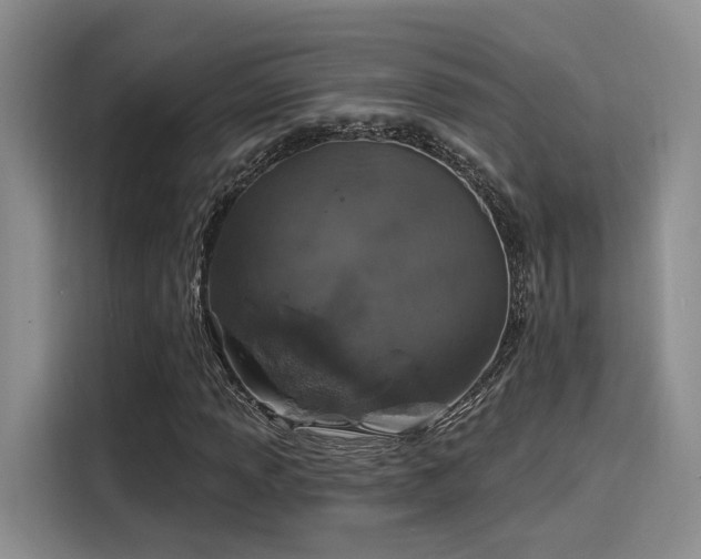 X0000116031013200911271131