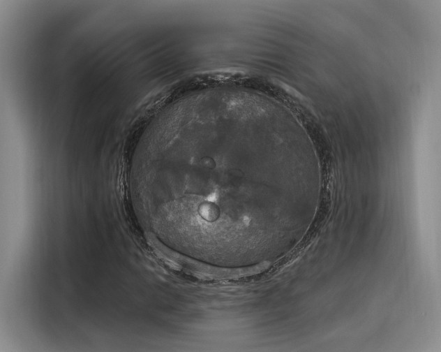 X0000116031014200911271131