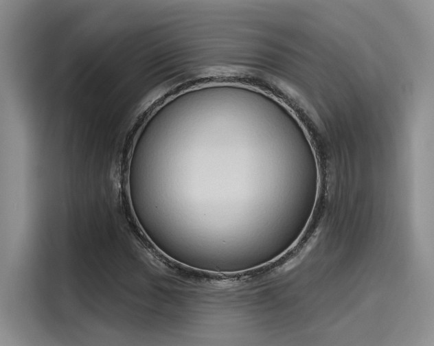 X0000116031017200911271131