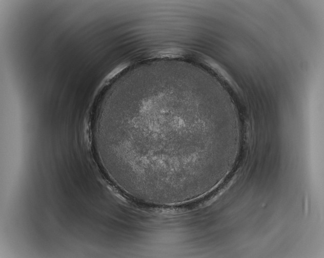 X0000116031018200911271131
