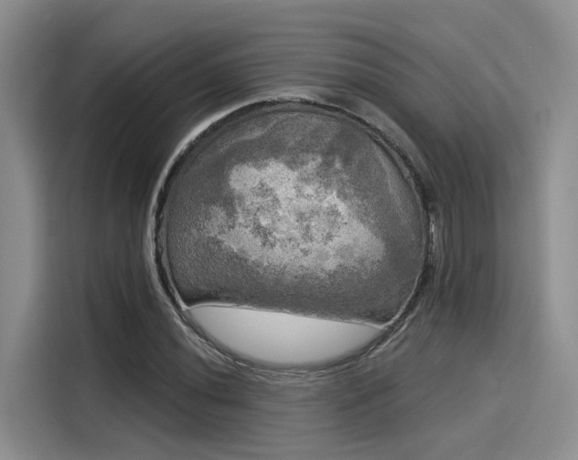 X0000116031020200911271132