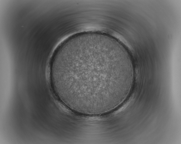 X0000116031021200911271132
