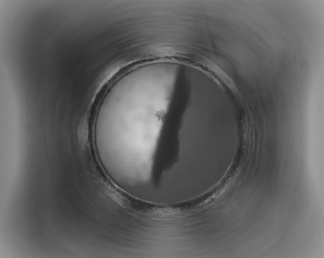 X0000116031023200911271132