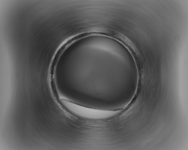 X0000116031024200911271132