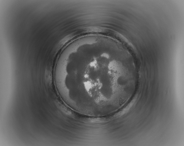 X0000116031025200911271132