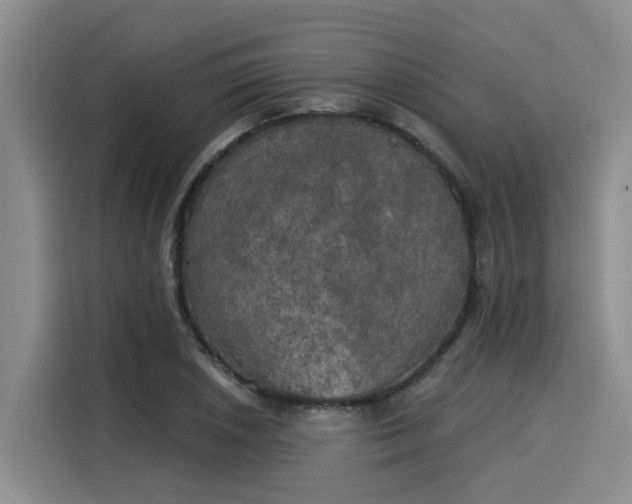 X0000116031026200911271132