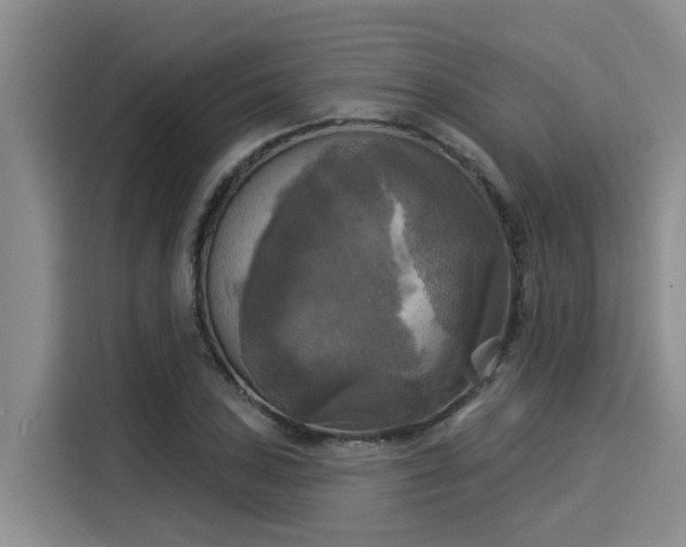 X0000116031027200911271132