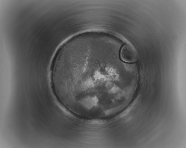 X0000116031029200911271132