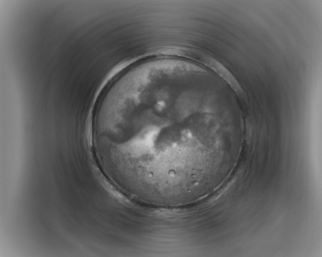 X0000116031036200911271132
