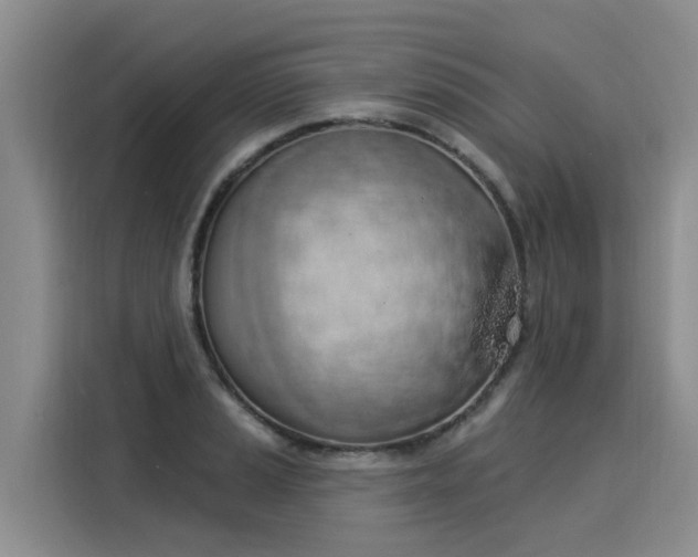 X0000116031037200911271132