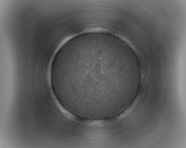 X0000116031038200911271132