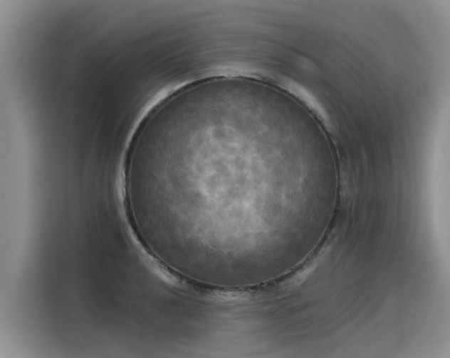 X0000116031040200911271132