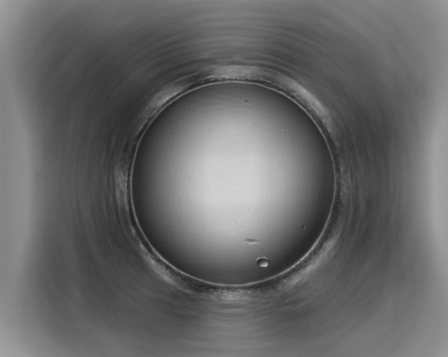 X0000116031041200911271132