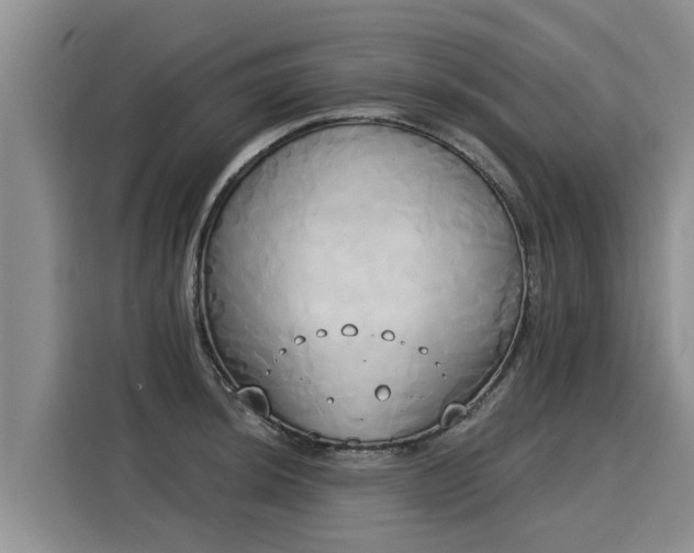 X0000116031044200911271132