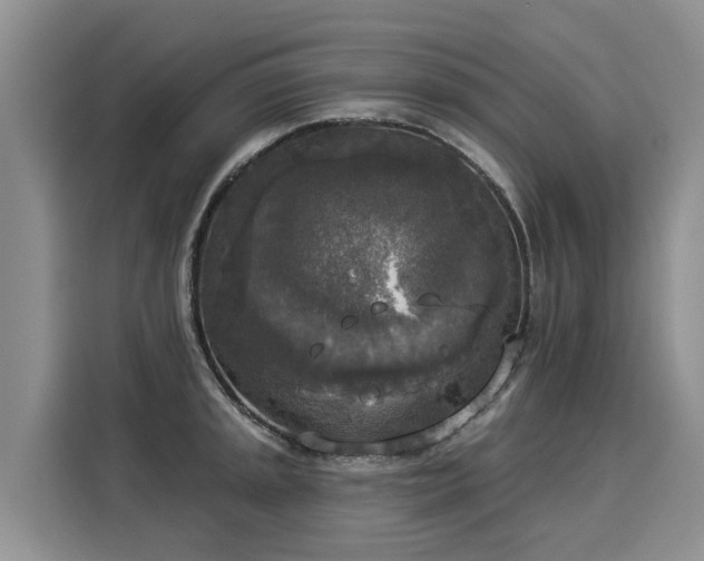 X0000116031045200911271132