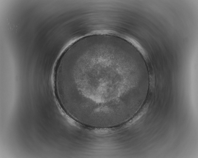 X0000116031046200911271132