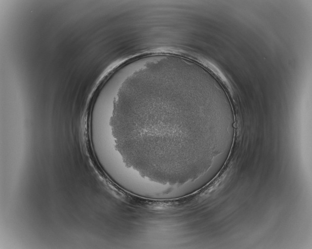 X0000116031048200911271132
