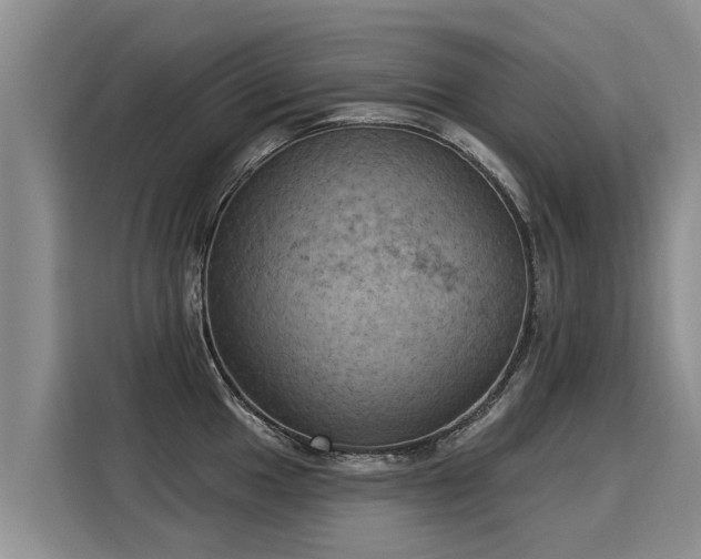 X0000116031049200911271132
