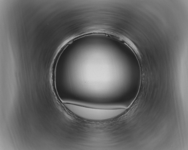 X0000116031051200911271132