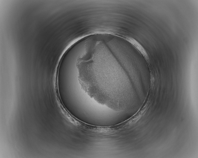 X0000116031052200911271132