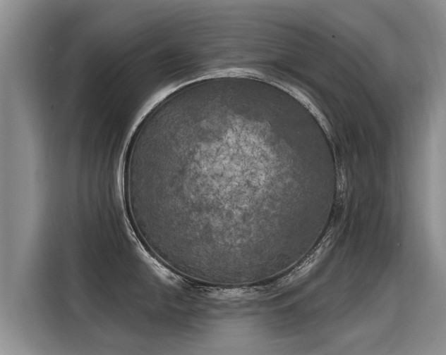 X0000116031054200911271132