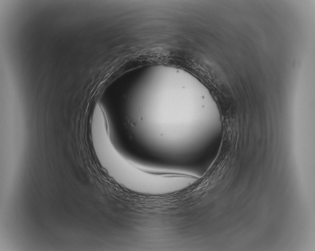 X0000116031057200911271131