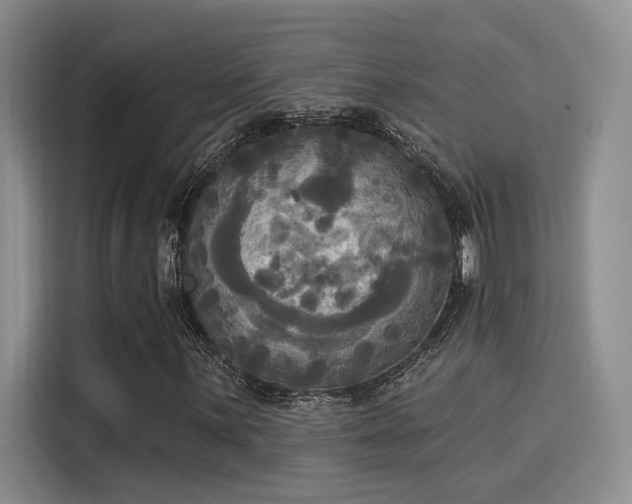 X0000116031059200911271131