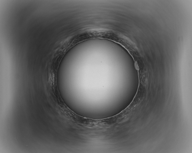 X0000116031061200911271131