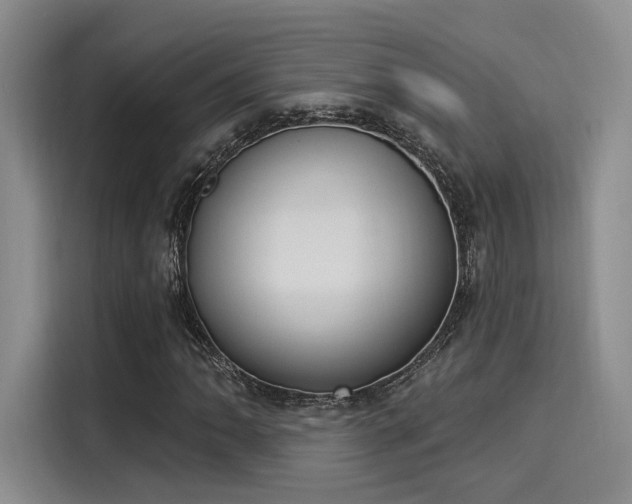 X0000116031062200911271131