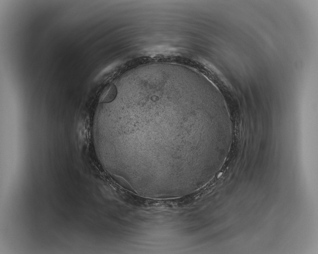 X0000116031063200911271131