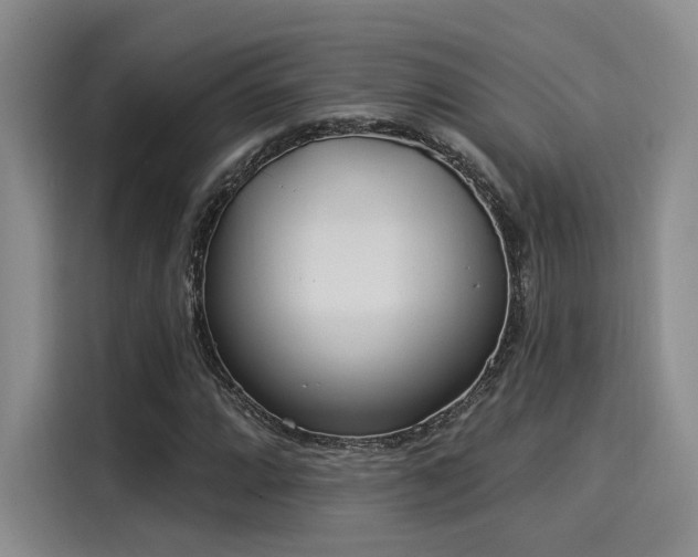 X0000116031064200911271131