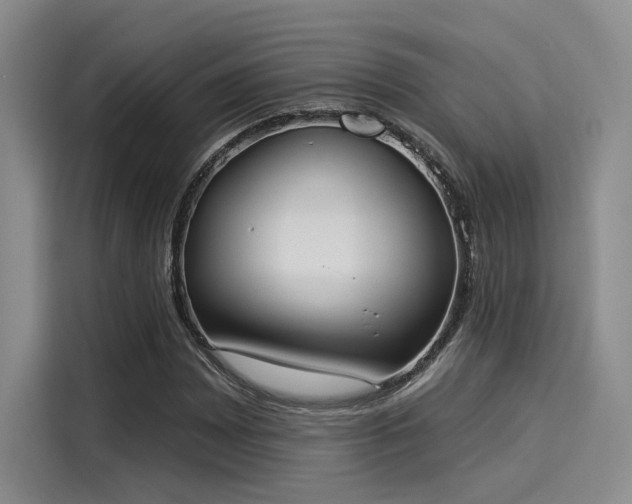 X0000116031065200911271131
