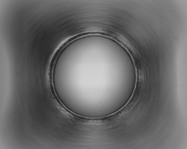 X0000116031068200911271131
