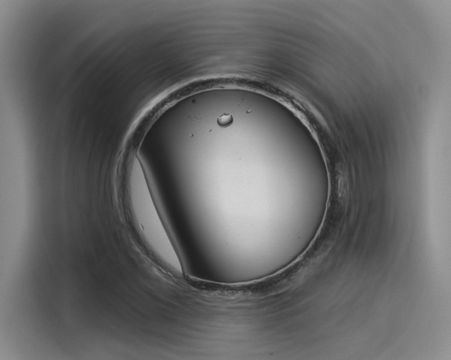 X0000116031069200911271131
